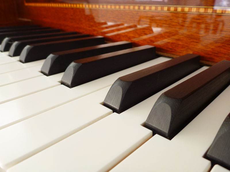 德国Sauter钢琴中国经销商会议落幕